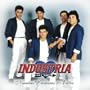 Nuestros Primeros 20 Exitos