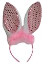 Hen Night Bunny Ears
