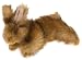 My Favorite Things for My Pomeranian