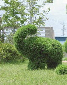 人工グリーン　ゾウＳ Ａ５４０５－２８０　 