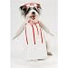 Pet Costume- Nurse (X-Small) Image