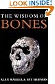 The Wisdom of Bones: In Search of Human Origins
