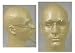 Starlite Safety Glasses with Clear Lens