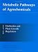 Metabolic Pathways of Agrochemicals, Part 1: Herbicides and Plant Growth Regulators (Metabolic Pathways (Royal Society of Chemistry)) (Pt.1)