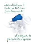 Elementary and Intermediate Algebra