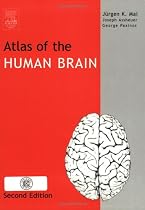Atlas of the Human Brain