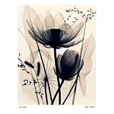 Professionally Plaqued Judith McMillan Lotus and Grasses Art Print Poster - 12x16 with RichAndFramous Black WoodMounting