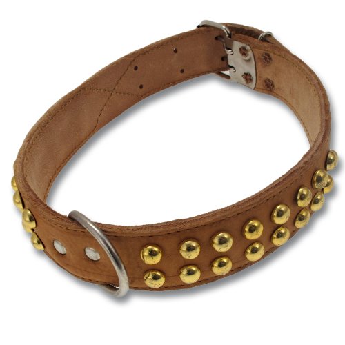 5 er SET Leine Hundeleine LED Halsband Katzenleine S5