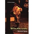 Windhunde, Stars in der Manege