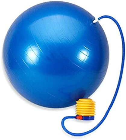 Bial EX Static Strength Exercise Stability Ball with Pump