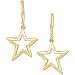 14kt Golden Star Fancy Earrings