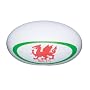Kitchencraft Kitsch'n'Fun Bottle Ball Sound Bottle Opener, Welsh Rugby Ball, Clam Packed
