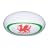 Kitchencraft Kitsch'n'Fun Bottle Ball Sound Bottle Opener, Welsh Rugby Ball, Clam Packed
