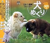 犬めくり365日/日めくり壁紙カレンダー My Dear Dogs 365 Days
