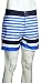 Quiksilver Stripe Biarritz Boardshorts - White / Indigo