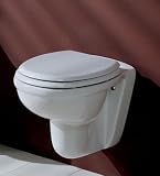 Karla Wall Hung Toilet