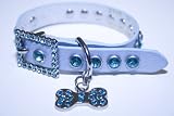 SIZZLE CITY - Small Blue Leather Rhinestone Dog Collar w Bling Dog Bone Pendant 