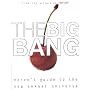 The Big Bang: A Guide to the New Sexual Universe