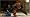 Def Jam Fight for the NY: The Takeover (PSP)