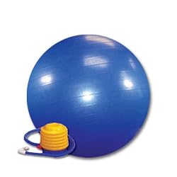 EXERCISE BALL 65CM WITH PUMP - BLUE