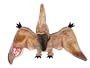 TY Beanie Baby - SWOOP the Pterodactyl