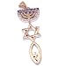 Messianic Seal with Purple CZ stones- Style IX - Sterling Silver (4.4 cm or 1.73" w/o loop ) - Comes with Silver box chain