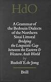 A Grammar of the Bedouin Dialects of the Northern Sinai Littoral: Bridging the Linguistic Gap Between the Eastern and Western Arab World (Handbook of Oriental Studies)