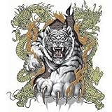 White Tiger W/ Dragons Adult Long Sleeve T-Shirt