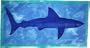 Montauk Blue Shark Towel