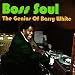 Boss Soul: The Genius of Barry White
