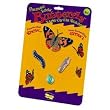 BUTTERFLY LIFE CYCLE STAGES