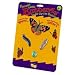 BUTTERFLY LIFE CYCLE STAGES