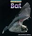 Bat  (Wild Britain) (Wild Britain: Animals)