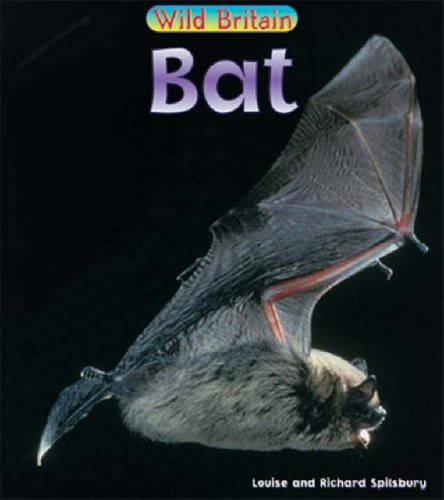 Bat  (Wild Britain) (Wild Britain: Animals)