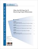 When the CEO Says Cut IT : Maximizing Project Effectiveness