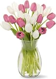 Sweetheart Tulips without Vase