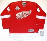 Aaron Downey Detroit Red Wings '09 Cup Reebok Premier Home Jersey - Medium