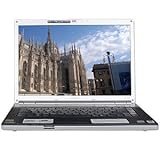 Sony VAIO VGN-FZ340E/B Core 2 Duo T7250 2.0GHz 3GB 250GB DVD±RW 15.4" Vist ....