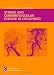 Stroke and Cerebrovascular Disease in Childhood (International Review of Child Neurology (Mac Keith Press))