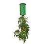 As Seen On TV! Topsy Turvy :: The Upside Down Tomato Planter
