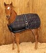 Jasper Newborn Foal Blanket
