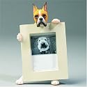 Boxer Cropped Ears Dog Picture Frame 2 1/2" X 3 1/2"