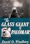 The Glass Giant of Palomar