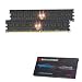 GEIL 4 GB DDR2-RAM PC800 CL5 2x2GB KIT Black Dragon