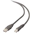Belkin F3U133-06 Pro Series Hi-Speed USB Cable (Six-Feet)