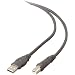 Belkin F3U133-06 Pro Series Hi-Speed USB Cable (Six-Feet)