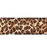 Offray Wired Beast 1-1/2 Inch -9 Feet-Leopard