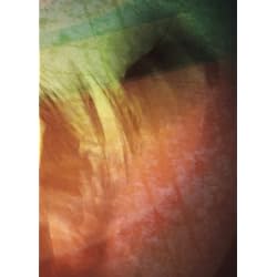 Jonsi: Go Quiet - A Film (Limited Edition)