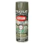 Krylon/Consumer Div 4293 Krylon Fusion Camouflage Spray Paint