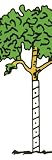  : Walter E Clark 36-Inch Vinyl Tree Wrap #00436